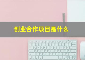 创业合作项目是什么