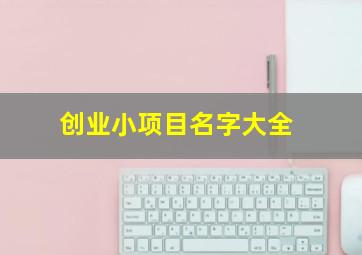 创业小项目名字大全