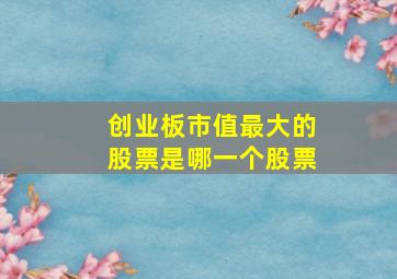 创业板市值最大的股票是哪一个股票