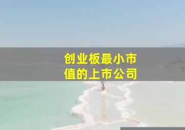 创业板最小市值的上市公司