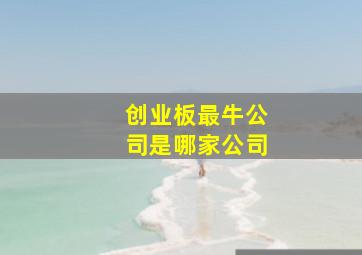 创业板最牛公司是哪家公司