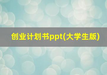 创业计划书ppt(大学生版)