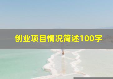 创业项目情况简述100字