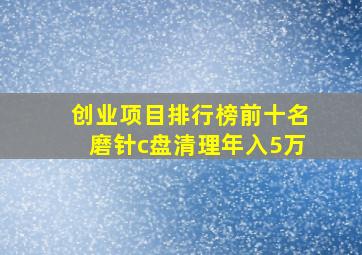 创业项目排行榜前十名磨针c盘清理年入5万