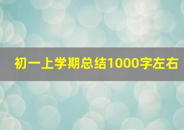 初一上学期总结1000字左右