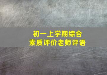 初一上学期综合素质评价老师评语