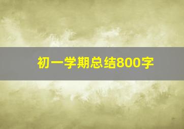 初一学期总结800字