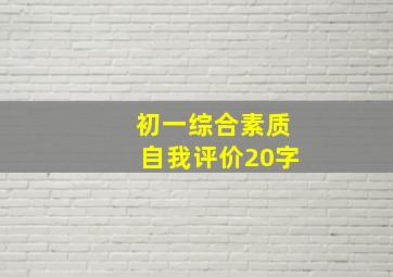 初一综合素质自我评价20字