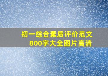 初一综合素质评价范文800字大全图片高清