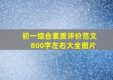 初一综合素质评价范文800字左右大全图片