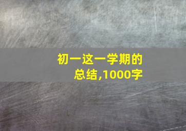 初一这一学期的总结,1000字