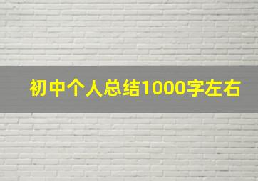 初中个人总结1000字左右