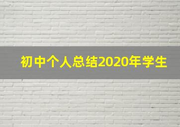 初中个人总结2020年学生