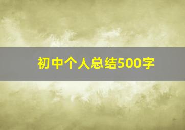 初中个人总结500字