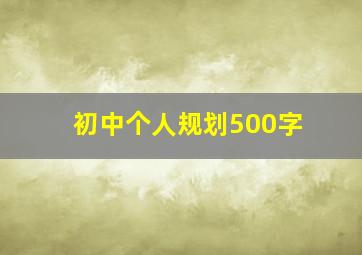 初中个人规划500字