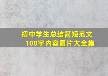 初中学生总结简短范文100字内容图片大全集