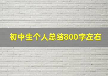 初中生个人总结800字左右