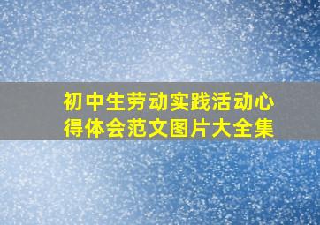 初中生劳动实践活动心得体会范文图片大全集