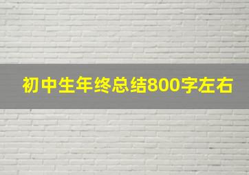 初中生年终总结800字左右