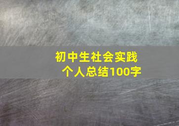 初中生社会实践个人总结100字