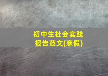 初中生社会实践报告范文(寒假)