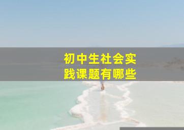 初中生社会实践课题有哪些