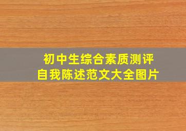 初中生综合素质测评自我陈述范文大全图片