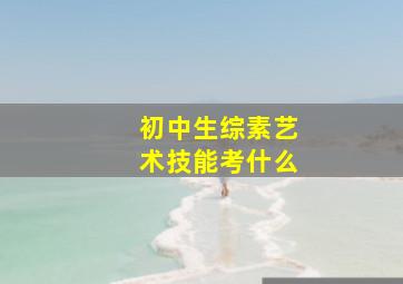 初中生综素艺术技能考什么