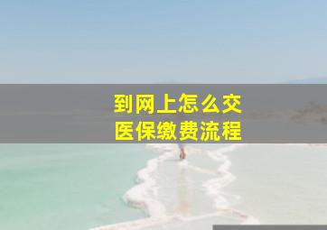 到网上怎么交医保缴费流程