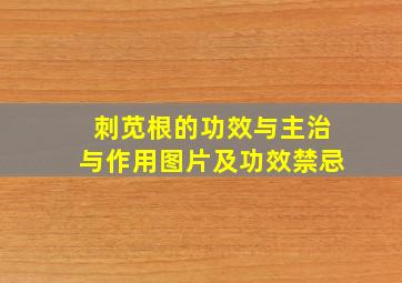 刺苋根的功效与主治与作用图片及功效禁忌