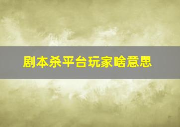 剧本杀平台玩家啥意思