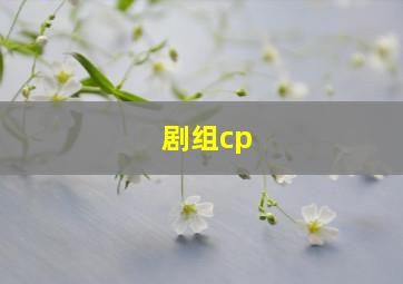 剧组cp