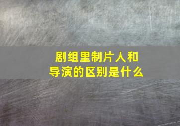 剧组里制片人和导演的区别是什么