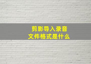 剪影导入录音文件格式是什么