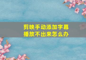 剪映手动添加字幕播放不出来怎么办