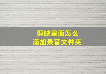 剪映里面怎么添加录音文件夹