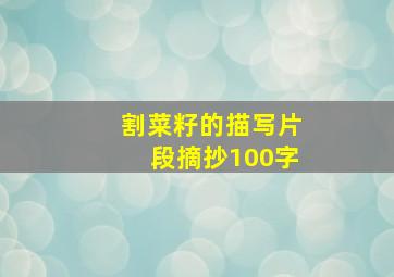 割菜籽的描写片段摘抄100字