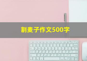 割麦子作文500字