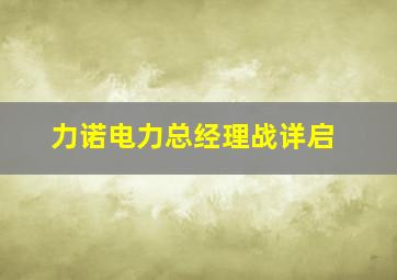 力诺电力总经理战详启