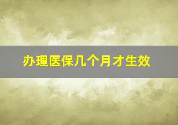 办理医保几个月才生效