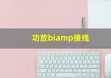 功放biamp接线