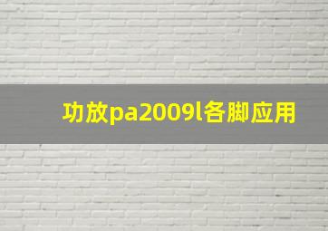 功放pa2009l各脚应用