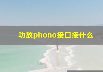 功放phono接口接什么