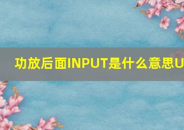 功放后面INPUT是什么意思UT