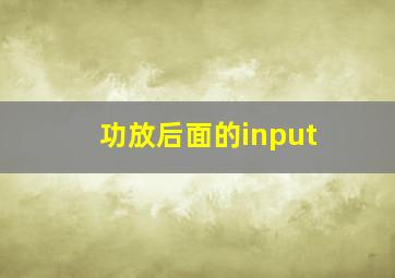 功放后面的input