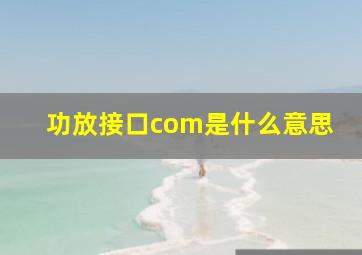 功放接口com是什么意思