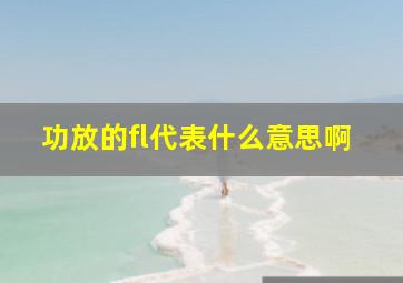 功放的fl代表什么意思啊