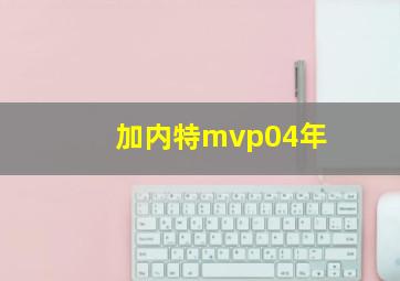 加内特mvp04年