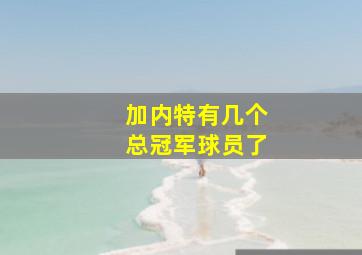 加内特有几个总冠军球员了