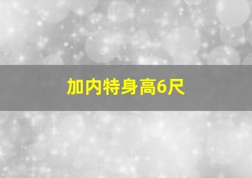 加内特身高6尺